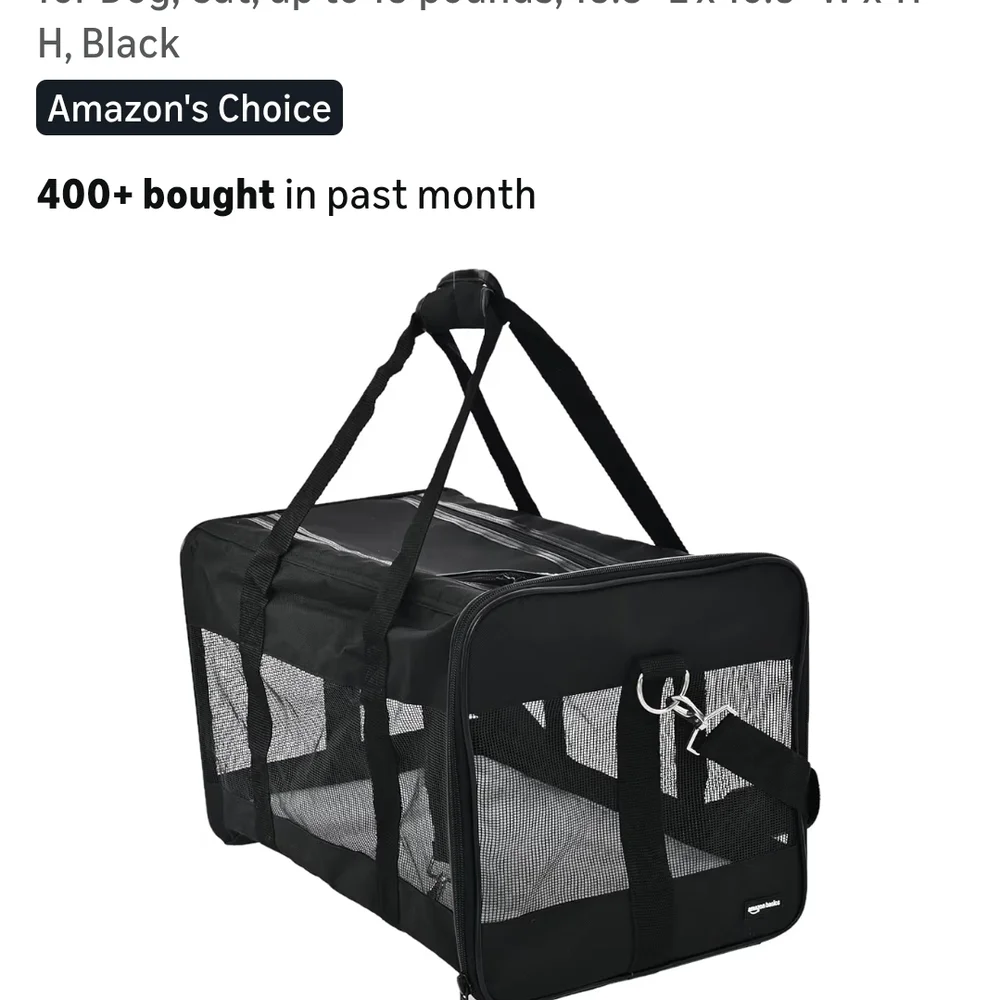 Black Mesh Pet Carrier